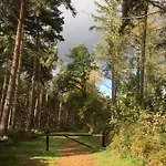 Hollicarrs - Lilypad Lodge