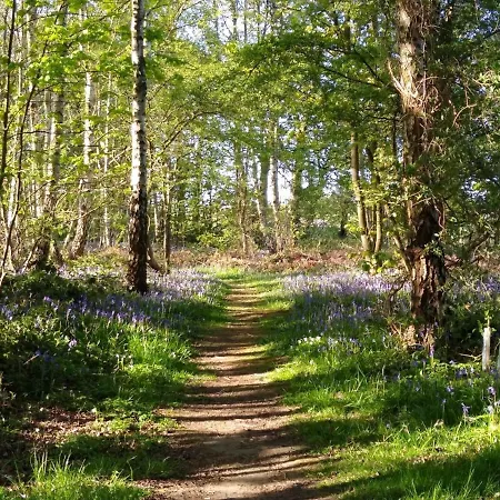 Hollicarrs - Lilypad Riccall