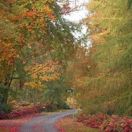 Hollicarrs - Lilypad Riccall