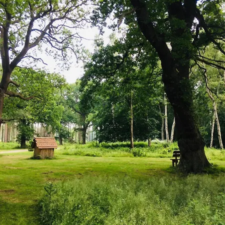 Hollicarrs - Lilypad Lodge Riccall