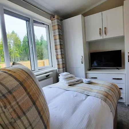 Hollicarrs - Lilypad *