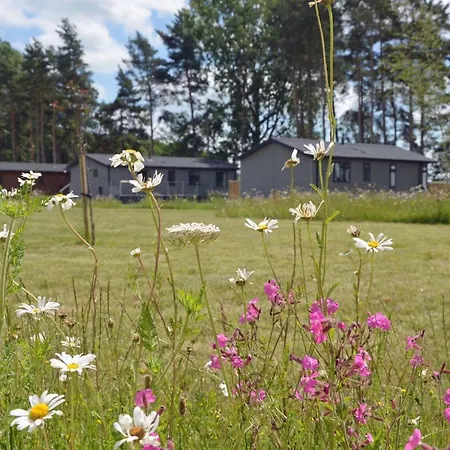 Hollicarrs - Lilypad * Riccall