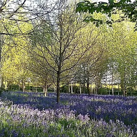 Hollicarrs - Lilypad 롯지 Riccall