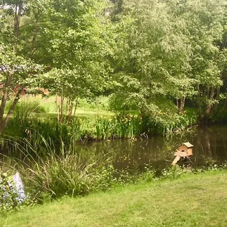 Lodge Hollicarrs - Lilypad Riccall