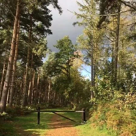 Hollicarrs - Lilypad Lodge