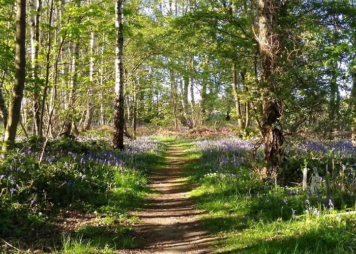 Hollicarrs - Lilypad Riccall