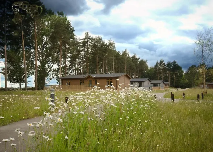 Hollicarrs - Lilypad * Riccall