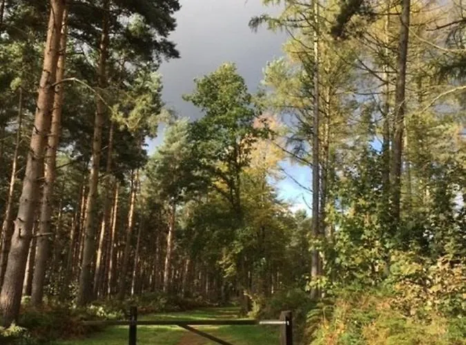 Hollicarrs - Lilypad Lodge