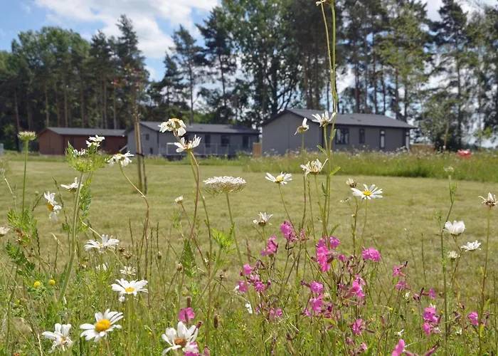 Hollicarrs - Lilypad * Riccall