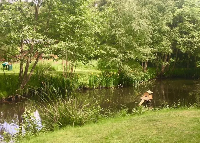 Lodge Hollicarrs - Lilypad Riccall